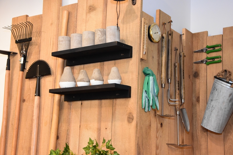 Kitchen Yard on Saturday Night
